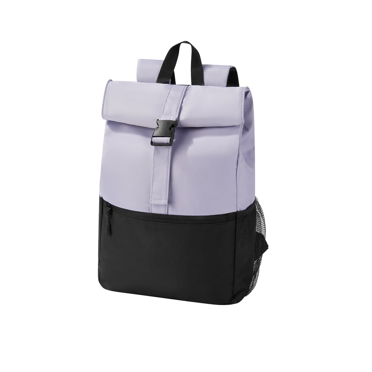 CC2047-MORADO
